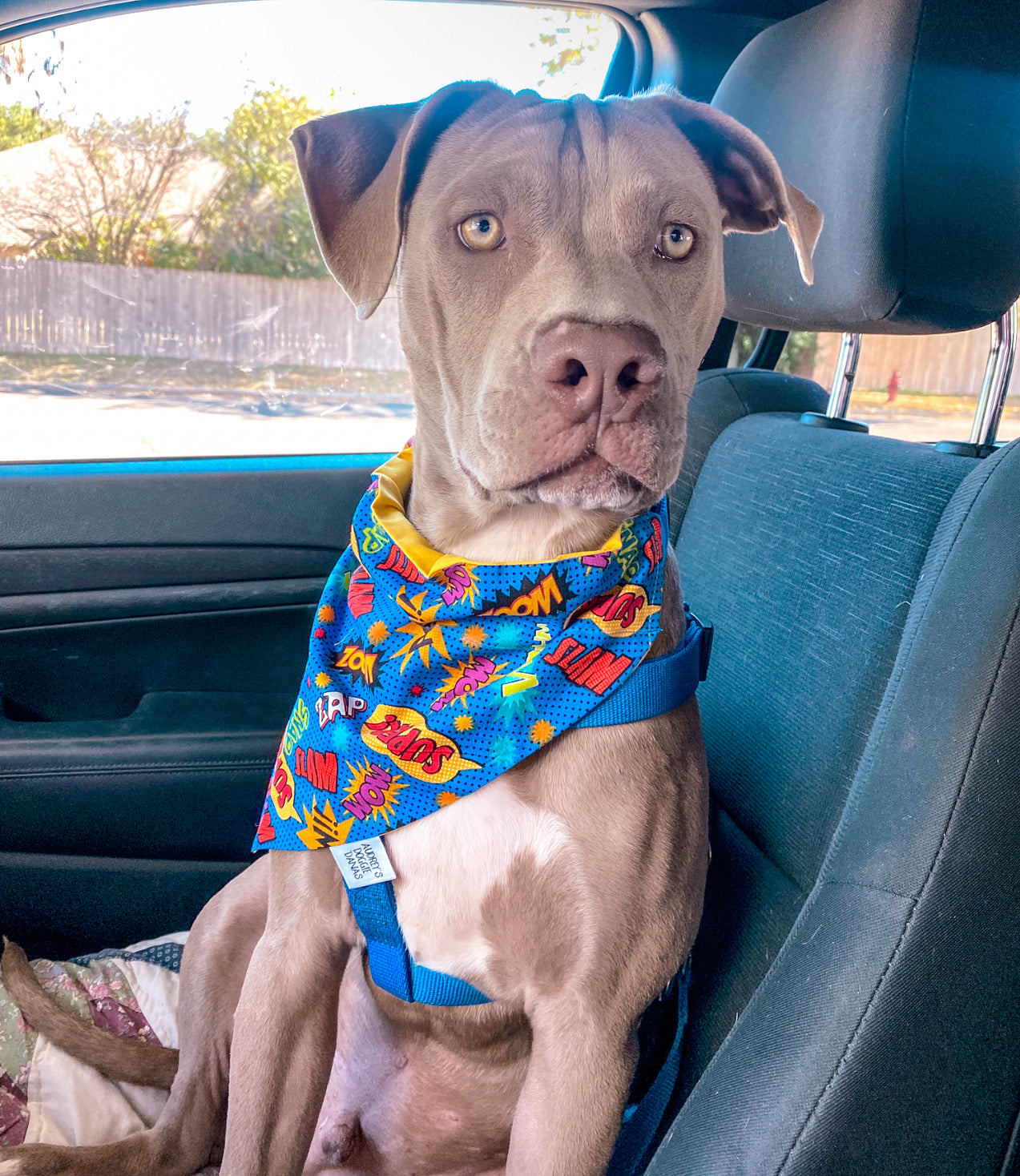 Super Hero Bandana