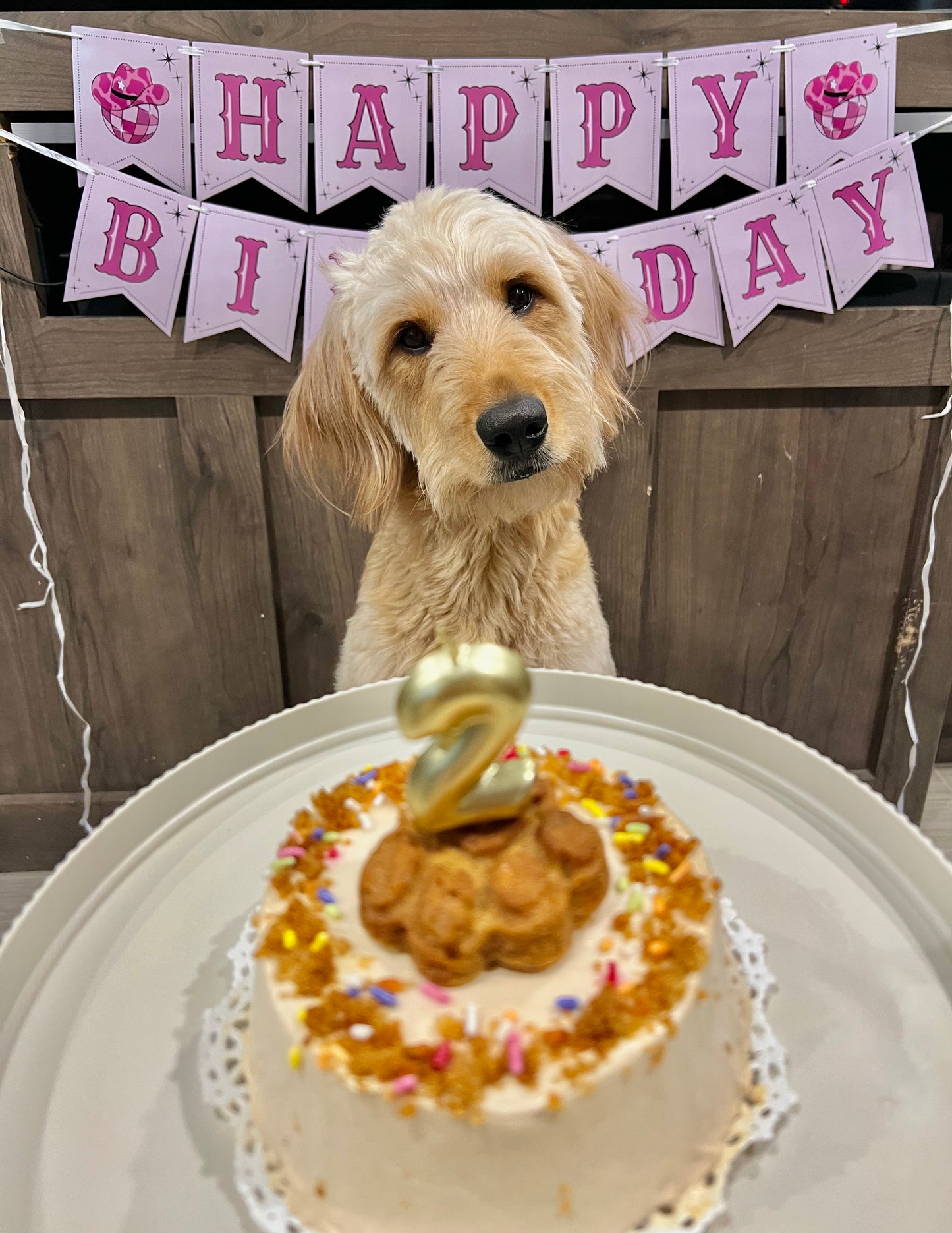 Carrot Pupcake