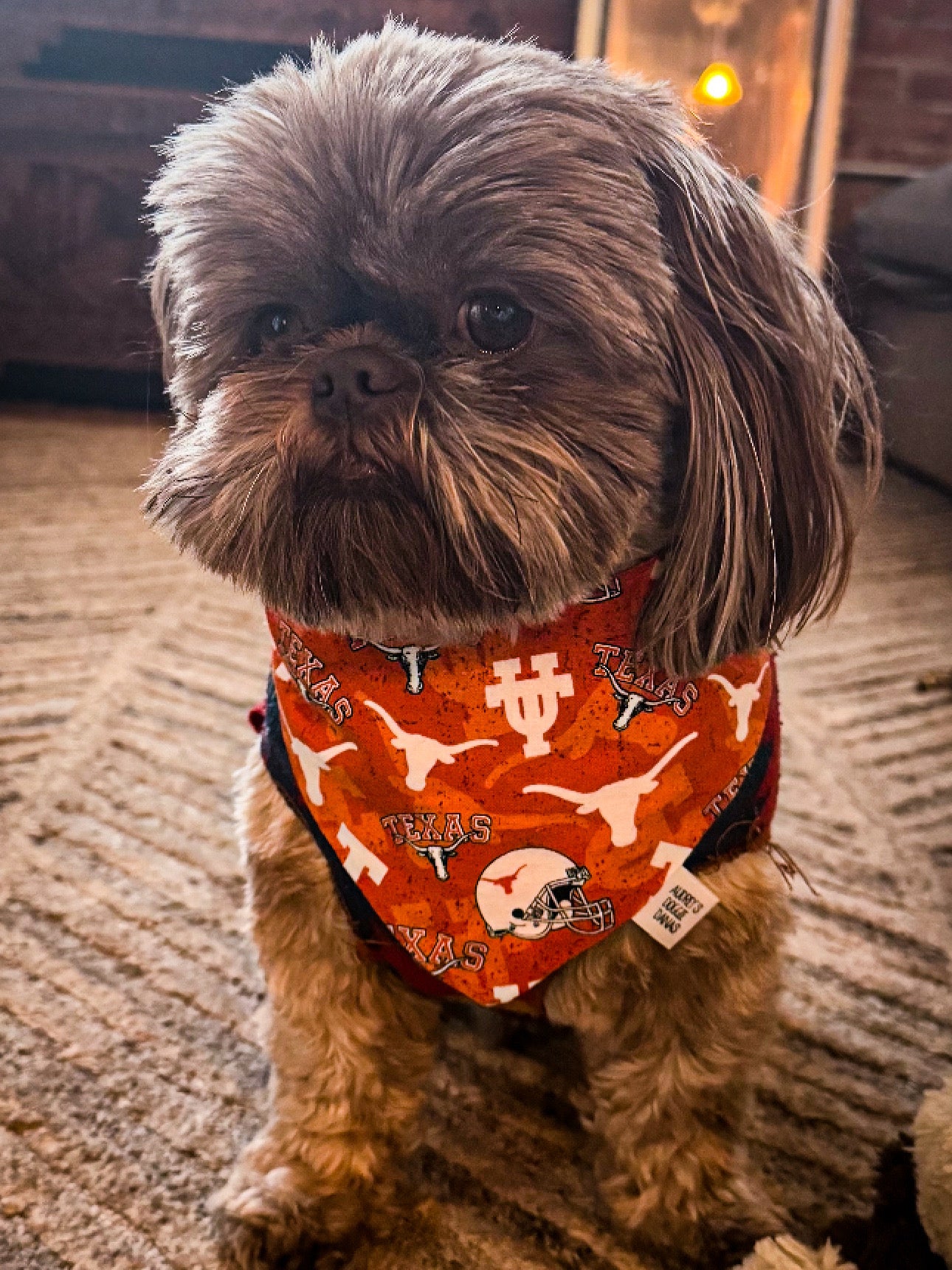 University of Texas Bandana