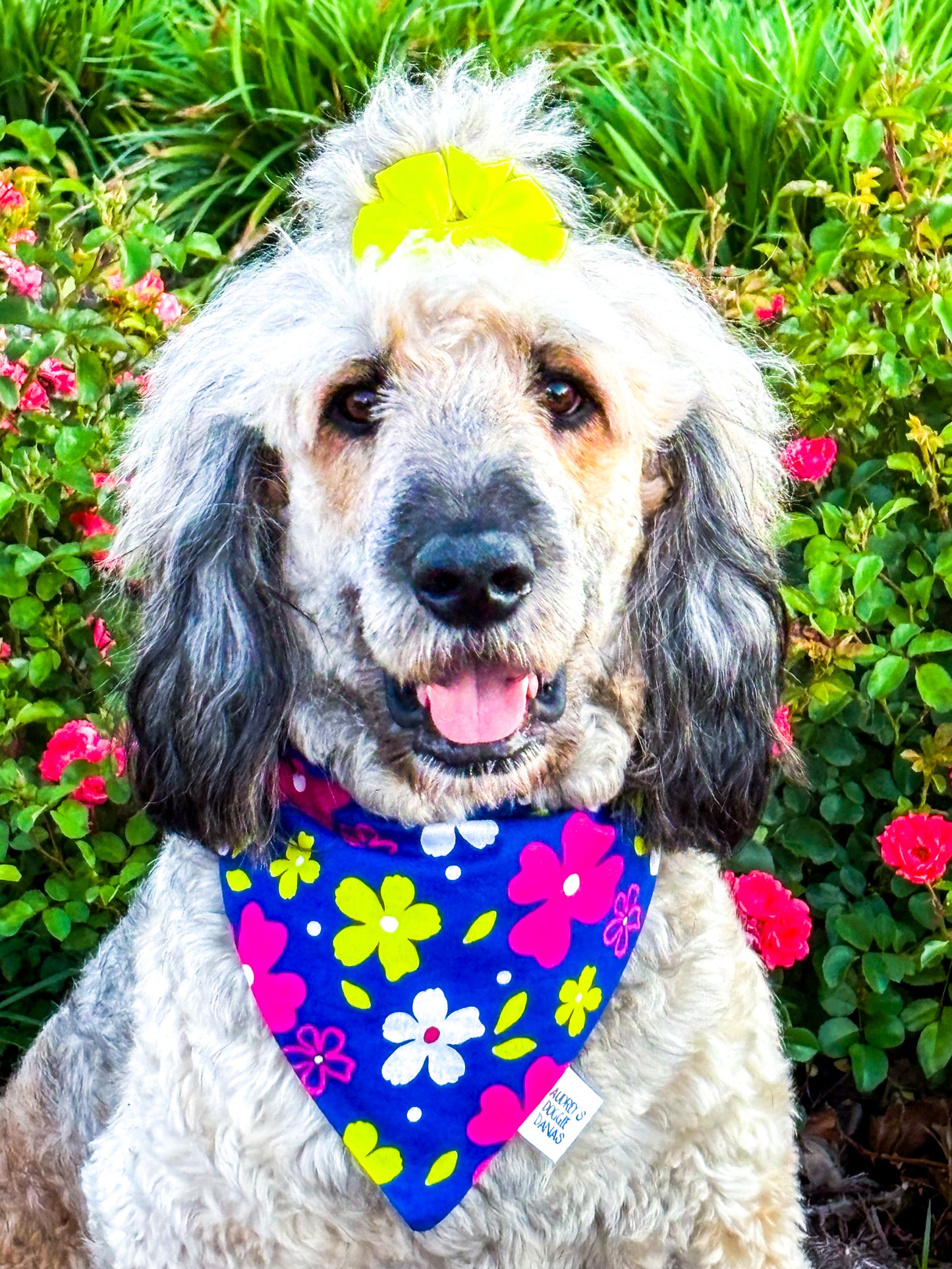 Bright Floral Bandana
