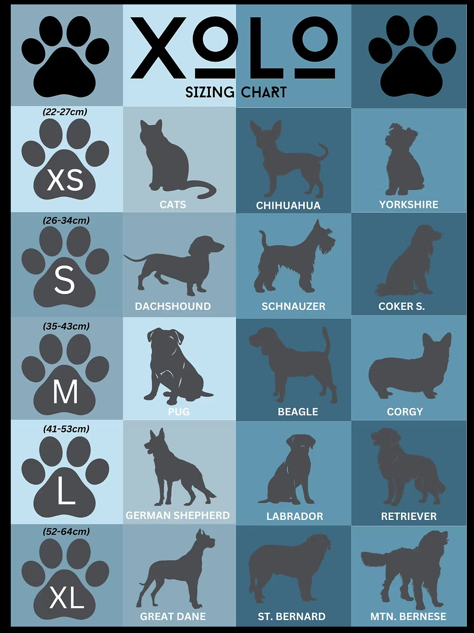 Pink and Purple Xolo Dog Collar