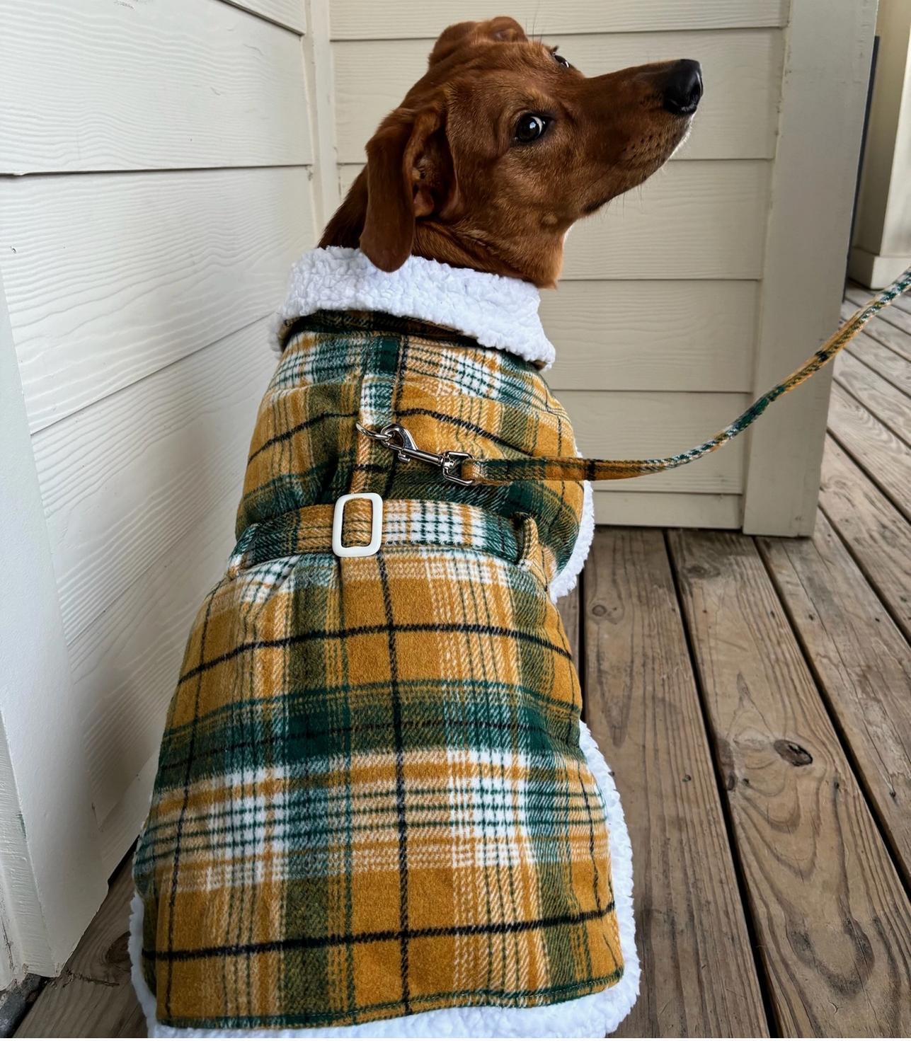 Green and Gold Sherpa-Lined Dog Harness Coat