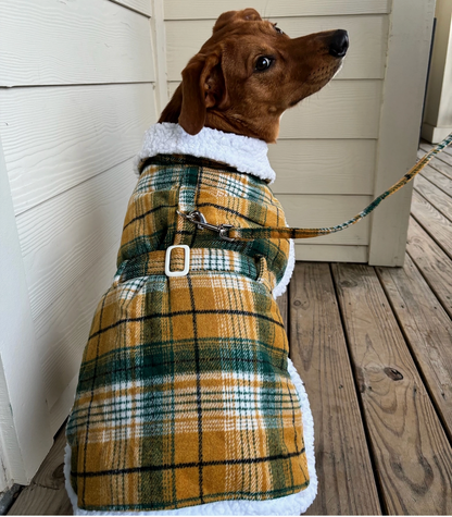 Green and Gold Sherpa-Lined Dog Harness Coat