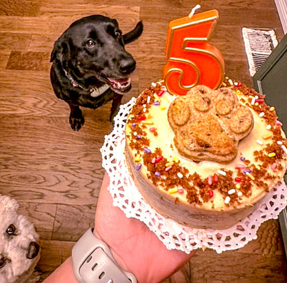 Carrot Pupcake