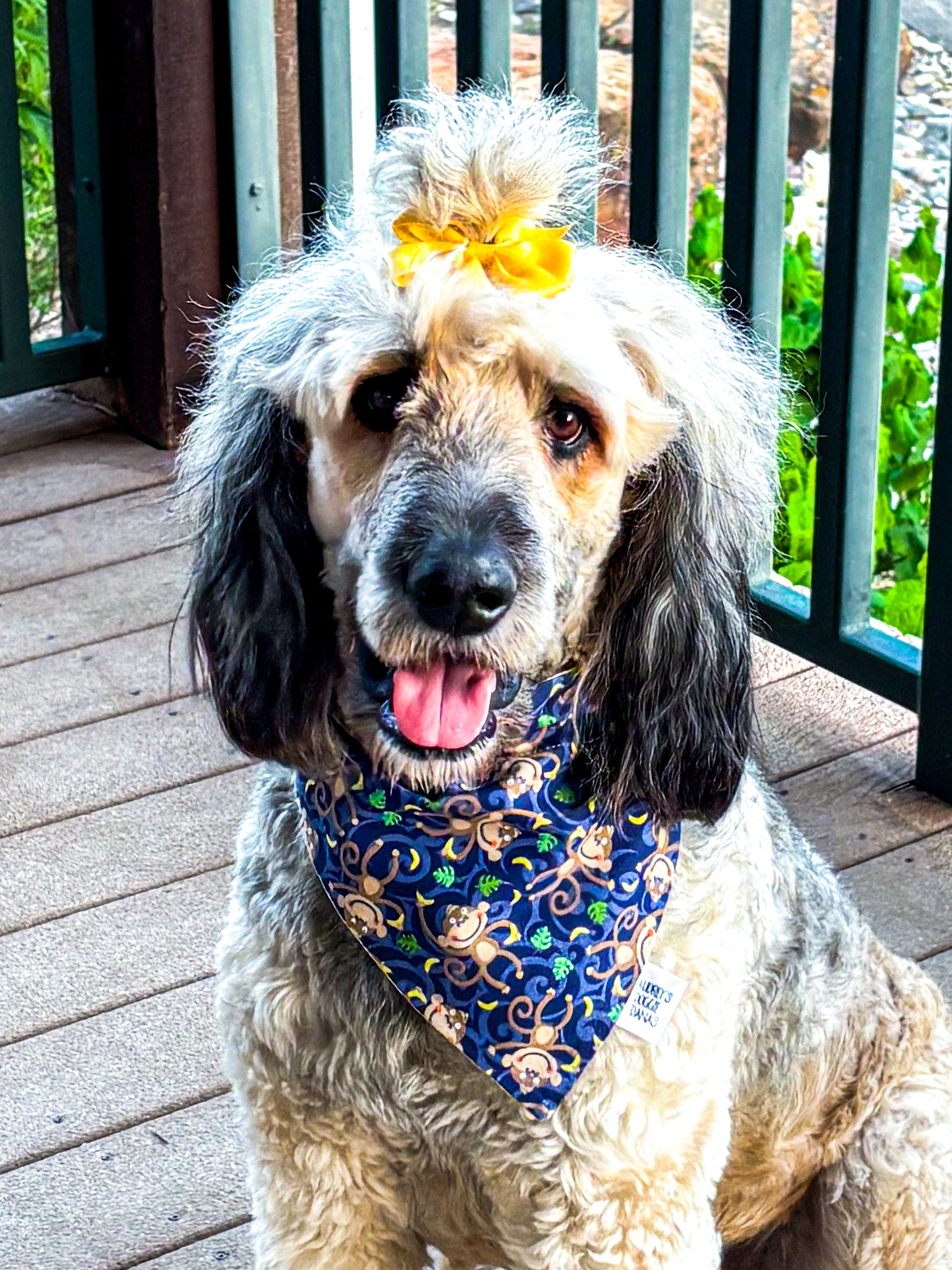Monkey Dog Bandana