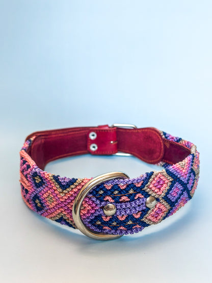 Pink and Purple Xolo Dog Collar