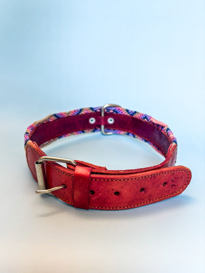 Pink and Purple Xolo Dog Collar